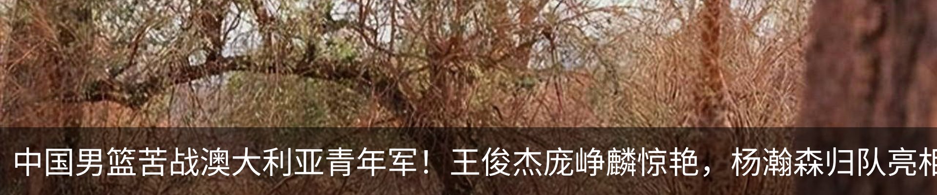 资讯中心