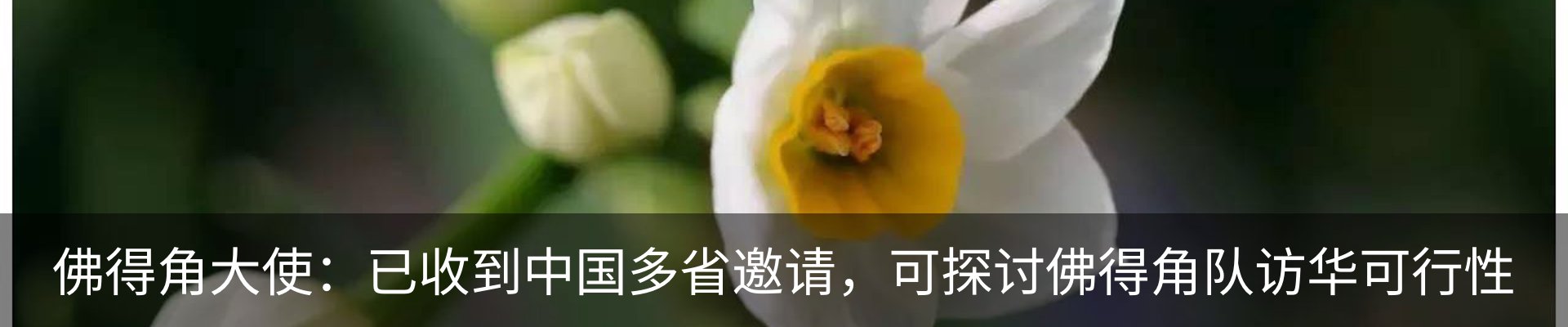 资讯中心