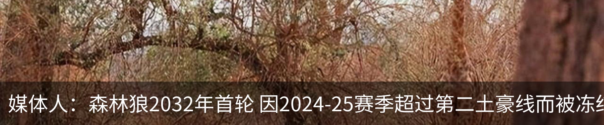 资讯中心