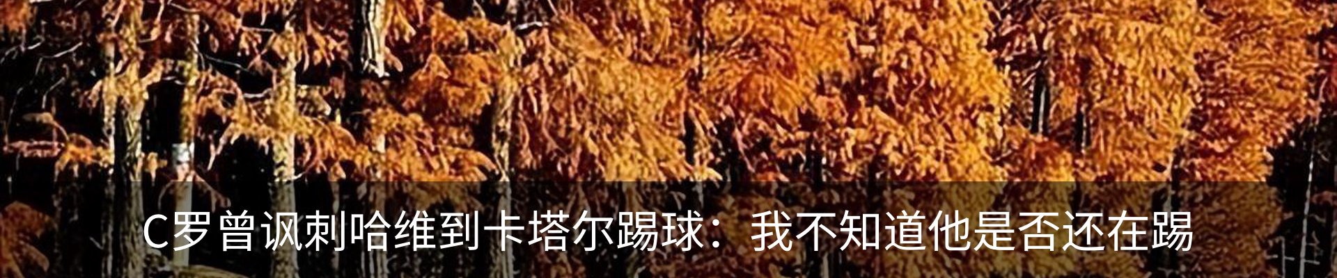 资讯中心
